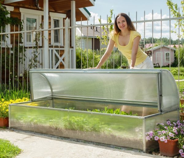 Standart Mini Greenhouse