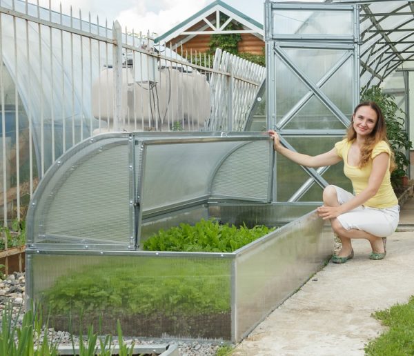 Standart Mini Greenhouse