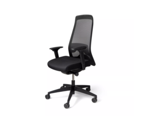 Interstuhl EVERYis1 kontoritool EV217