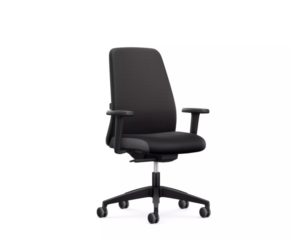Interstuhl EVERYis1 office chair