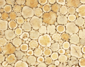 Katajapuupaneeli 50×100 cm